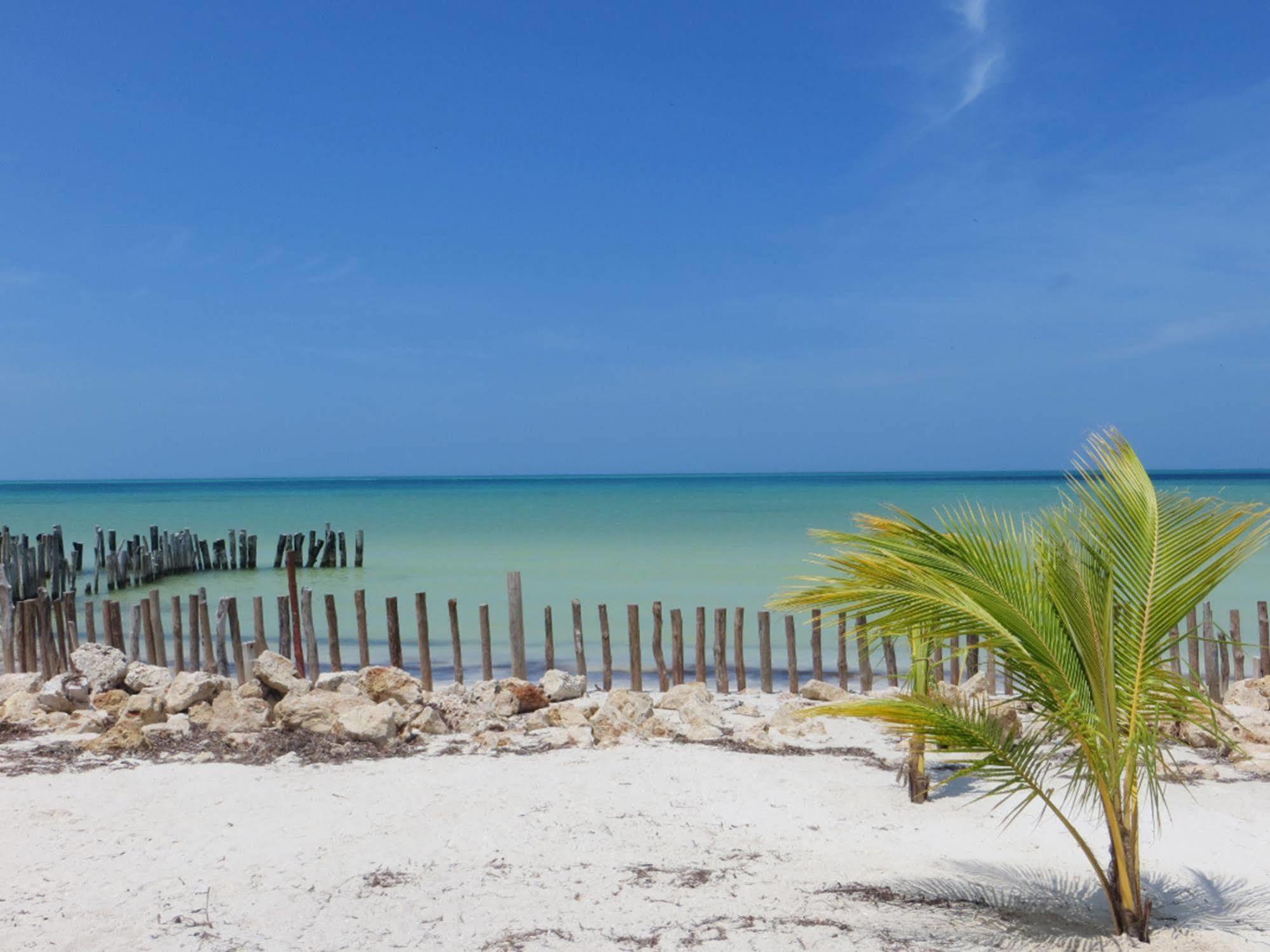 Golden Paradise Beach Isla Holbox Exterior foto
