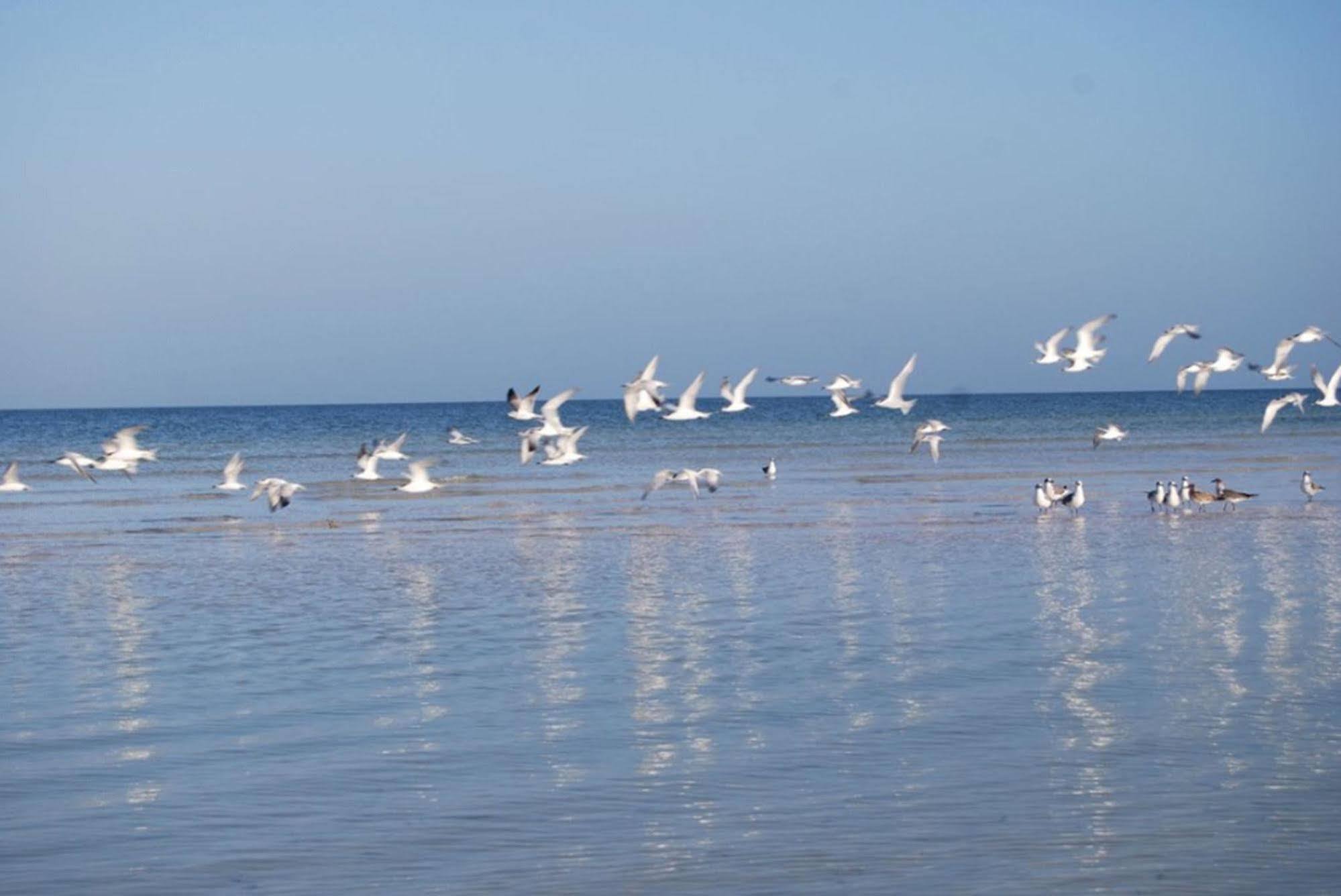 Golden Paradise Beach Isla Holbox Exterior foto
